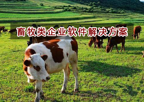 畜牧行業應該如何選擇財務軟件？