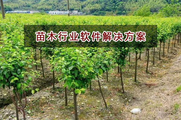 苗木行業(yè)應(yīng)該如何選擇財務(wù)軟件？財務(wù)做賬記賬如何實現(xiàn)？