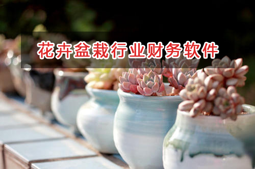 花卉盆栽店應選擇什么財務管理軟件管理財務？