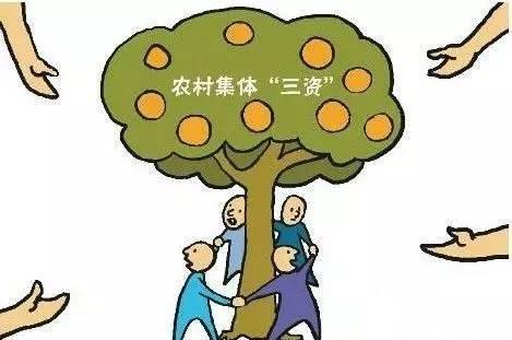 農村<a href='http://www.yizhisheji.com'>財務管理軟件</a>都有哪些？